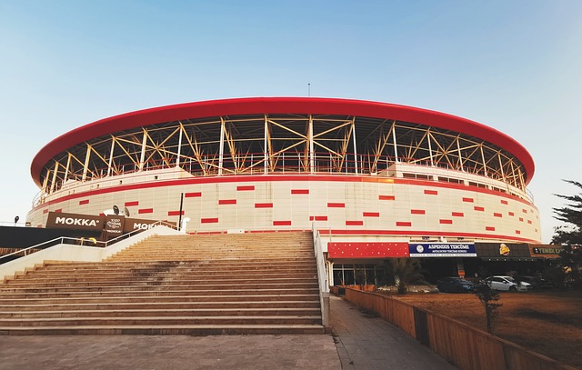 功无疑给其 功无疑给其