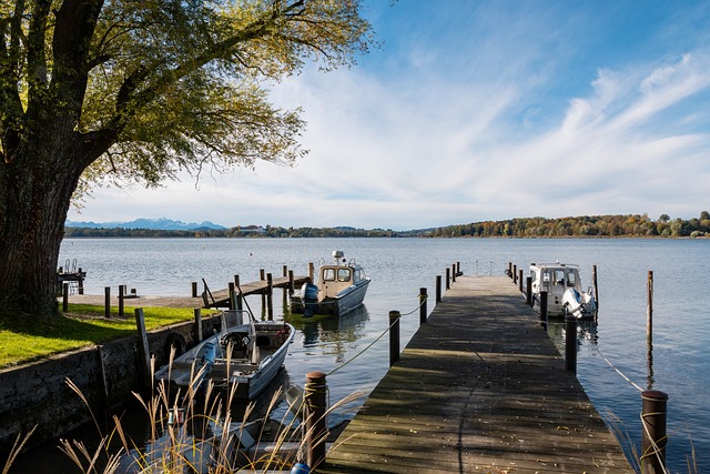 赛的亮点 赛的亮点