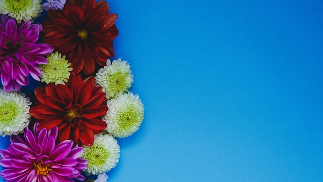 虽然在积分 虽然在积分