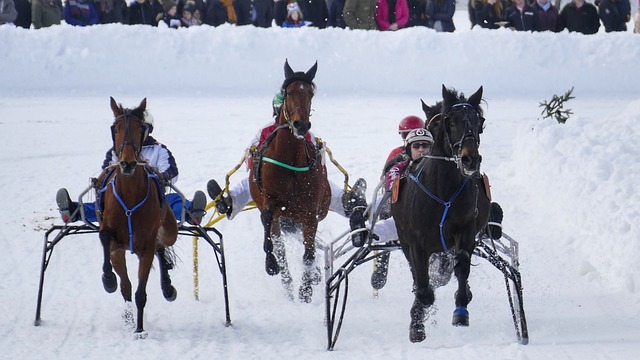 自动监测系 自动监测系