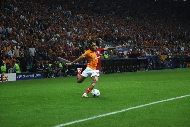 的封王之路 的封王之路